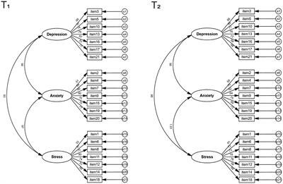 Validation and psychometric properties of the Depression Anxiety Stress Scale for Youth in Chinese adolescents